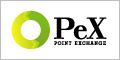 �|�C���g������PeX